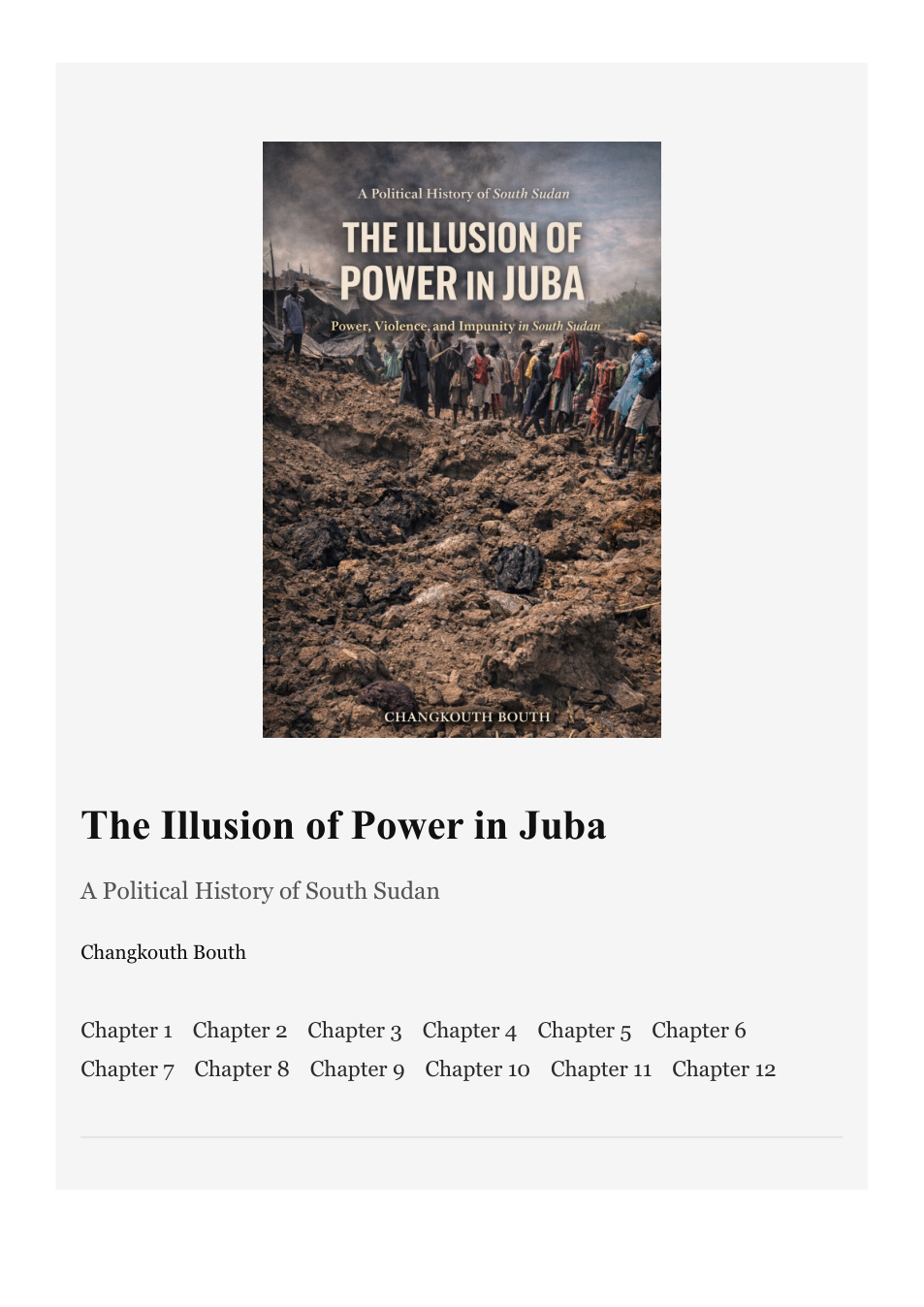 Cover of The Illusion of Power in Juba